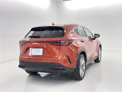 2023 Lexus NX 缩略图 18