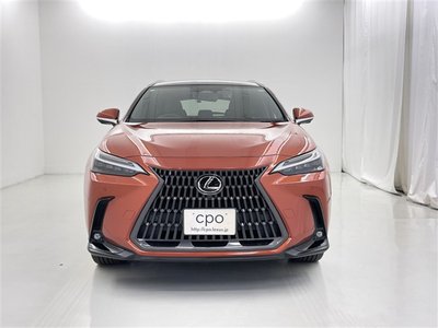 2023 Lexus NX 缩略图 16