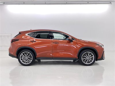 2023 Lexus NX 缩略图 19