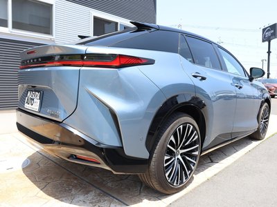 2023 Lexus RZ — фото 7