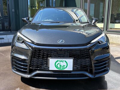 2025 Lexus LBX photo 10