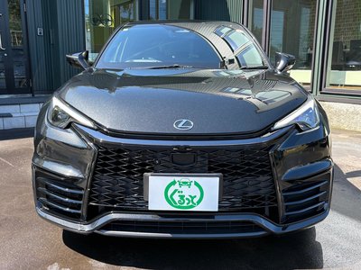 2025 Lexus LBX photo 6