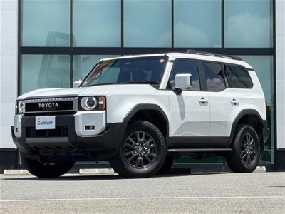 2024 Toyota LAND CRUISER 250 缩略图 13
