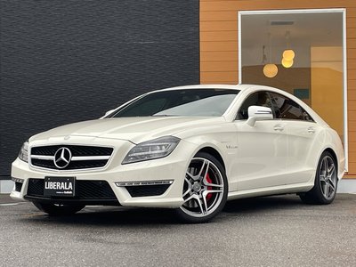 2011 Mercedes-BENZ CLS AMG 缩略图 55