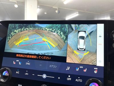 2023 Lexus NX 缩略图 39