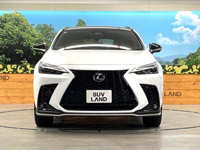 2023 Lexus NX 缩略图 14