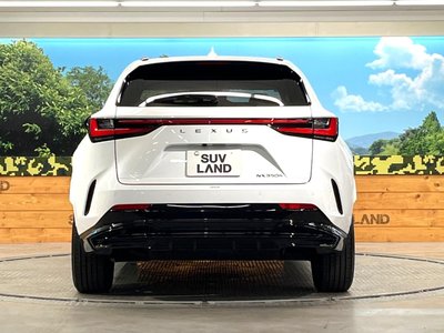2023 Lexus NX 缩略图 15