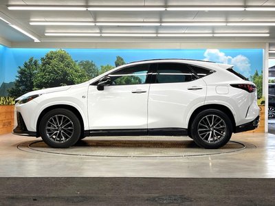 2023 Lexus NX 缩略图 30
