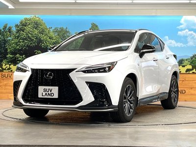 2023 Lexus NX 缩略图 28
