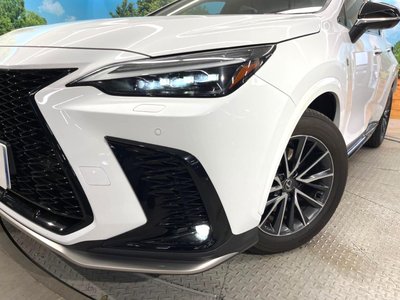 2023 Lexus NX 缩略图 12