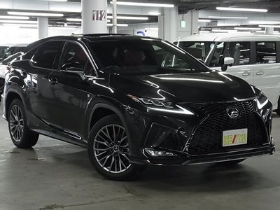 2021 Lexus RX photo 8