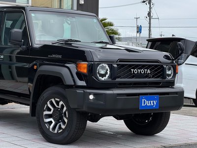 2025 Toyota LAND CRUISER 70 photo 13