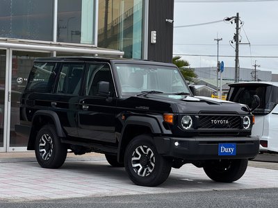 2025 Toyota LAND CRUISER 70 photo 12