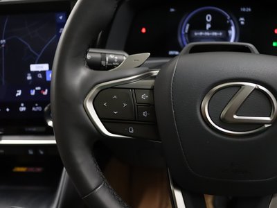 2023 Lexus RZ — фото 20
