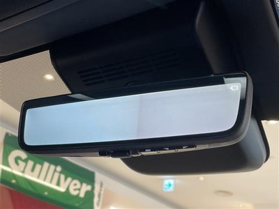 2025 Toyota ALPHARD 照片 29