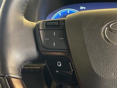2025 Toyota ALPHARD 照片 23