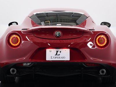 2015 ALFA Romeo 4C — фото 19