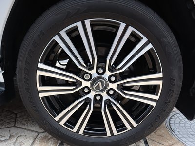 2024 Lexus LX 照片 44