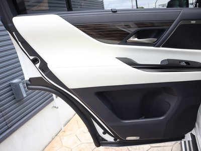 2024 Lexus LX 照片 64