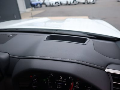2024 Lexus LX 照片 67
