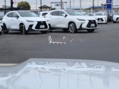 2024 Lexus LX 照片 30