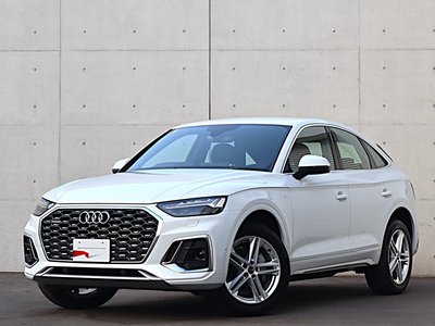 2025 AUDI Q5 SPORTBACK 照片 1