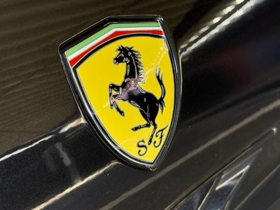 2009 Ferrari CALIFORNIA 照片 19