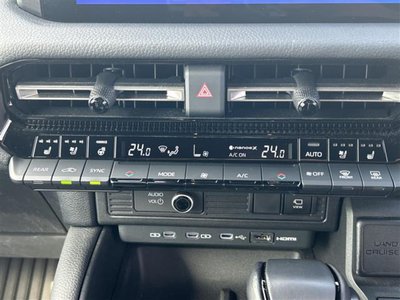 2025 Toyota LAND CRUISER 250 照片 14