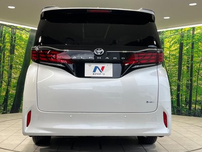 2025 Toyota ALPHARD — фото 16