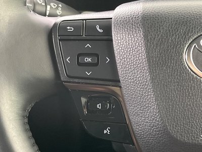 2025 Toyota ALPHARD — фото 31