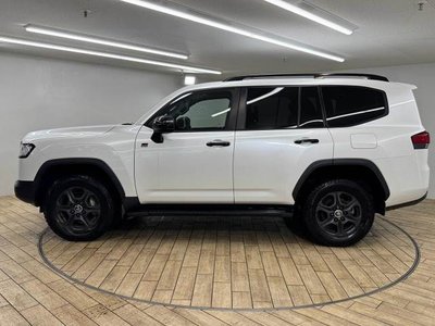2023 Toyota LAND CRUISER 300 thumbnail 17