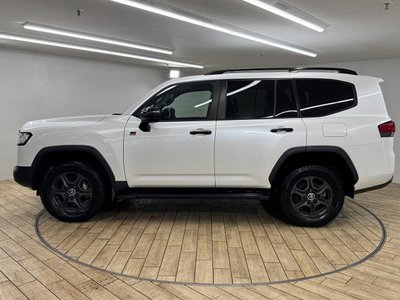 2023 Toyota LAND CRUISER 300 thumbnail 69