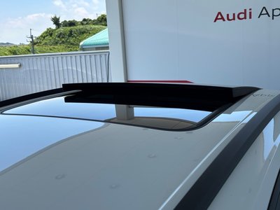 2024 AUDI RS Q8 thumbnail 38