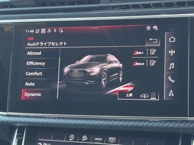 2024 AUDI RS Q8 thumbnail 30