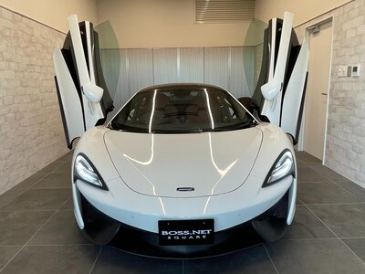 2016 Mclaren 540C COUPE — фото 33