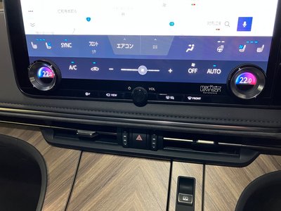 2024 Lexus LM photo 14