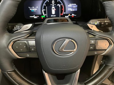 2024 Lexus LM photo 15