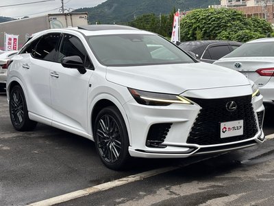 2023 Lexus RX thumbnail 28