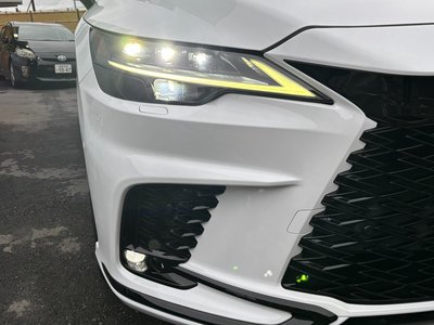 2023 Lexus RX thumbnail 24