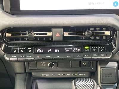 2024 Toyota LAND CRUISER 250 缩略图 38