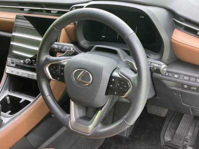2024 Lexus LBX photo 15