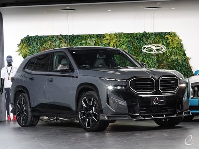 2023 BMW XM photo 14