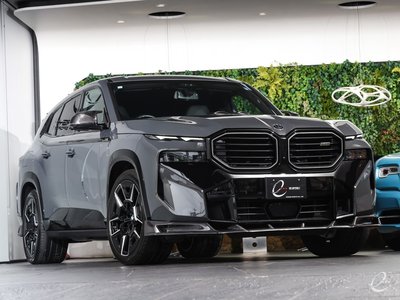 2023 BMW XM photo 12