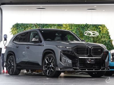 2023 BMW XM photo 10