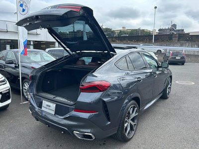 2020 BMW X6 thumbnail 31