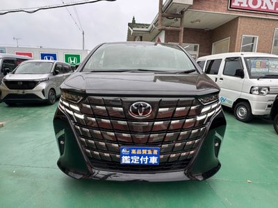صورة 49 لـ 2024 Toyota ALPHARD