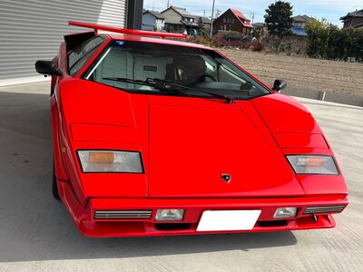 صورة 13 لـ 1987 Lamborghini COUNTACH