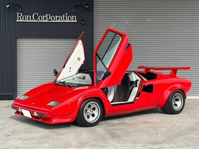 صورة 15 لـ 1987 Lamborghini COUNTACH