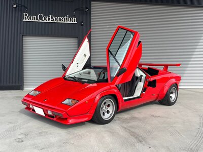 صورة 16 لـ 1987 Lamborghini COUNTACH
