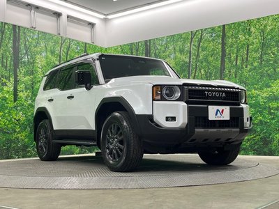 2025 Toyota LAND CRUISER 250 photo 16